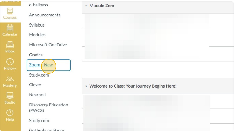 Screenshot of Zoom link in Canvas